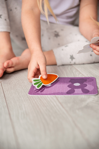 Hoop and Loop Who Eats What? for Toddlers Age 3+ Years - Shopefy