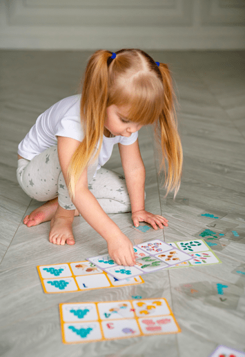 LOTTO with Transparent Flash Cards Count to 10 for Toddlers Age 3+ Years - Shopefy