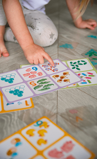 LOTTO with Transparent Flash Cards Count to 10 for Toddlers Age 3+ Years - Shopefy