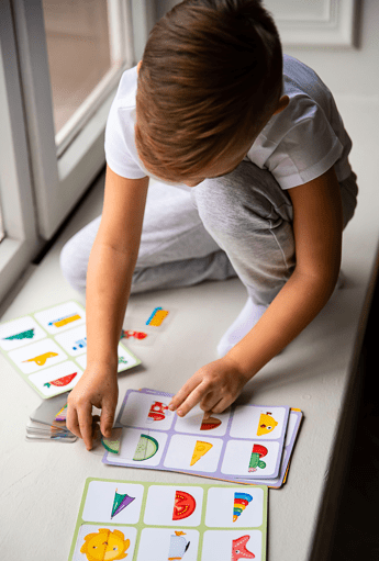LOTTO with Transparent Flash Cards Halfs for Toddlers Age 3+ Years - Shopefy
