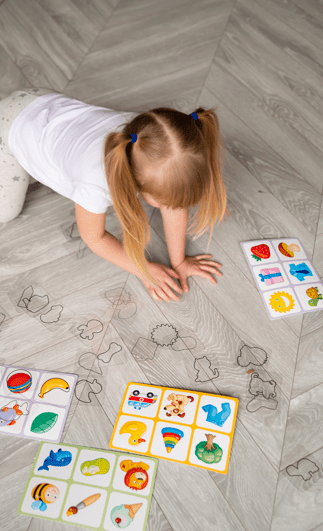 LOTTO Transparent Plastic Flash Cards Outlines 6 Fields 36 Cards for Toddlers Age 3+ Years - Shopefy
