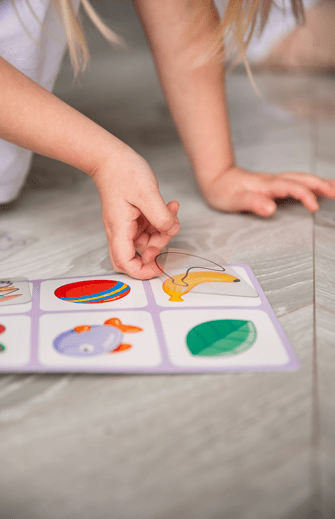 LOTTO Transparent Plastic Flash Cards Outlines 6 Fields 36 Cards for Toddlers Age 3+ Years - Shopefy